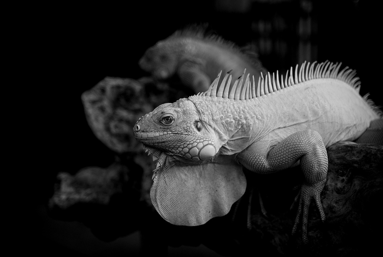 口臭をなくなる方法にはどんなものがある？