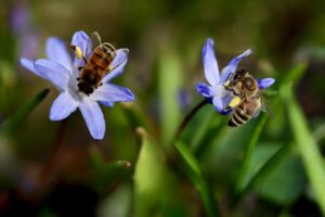 口臭対策に効果的なマウスウォッシュの使い方は？