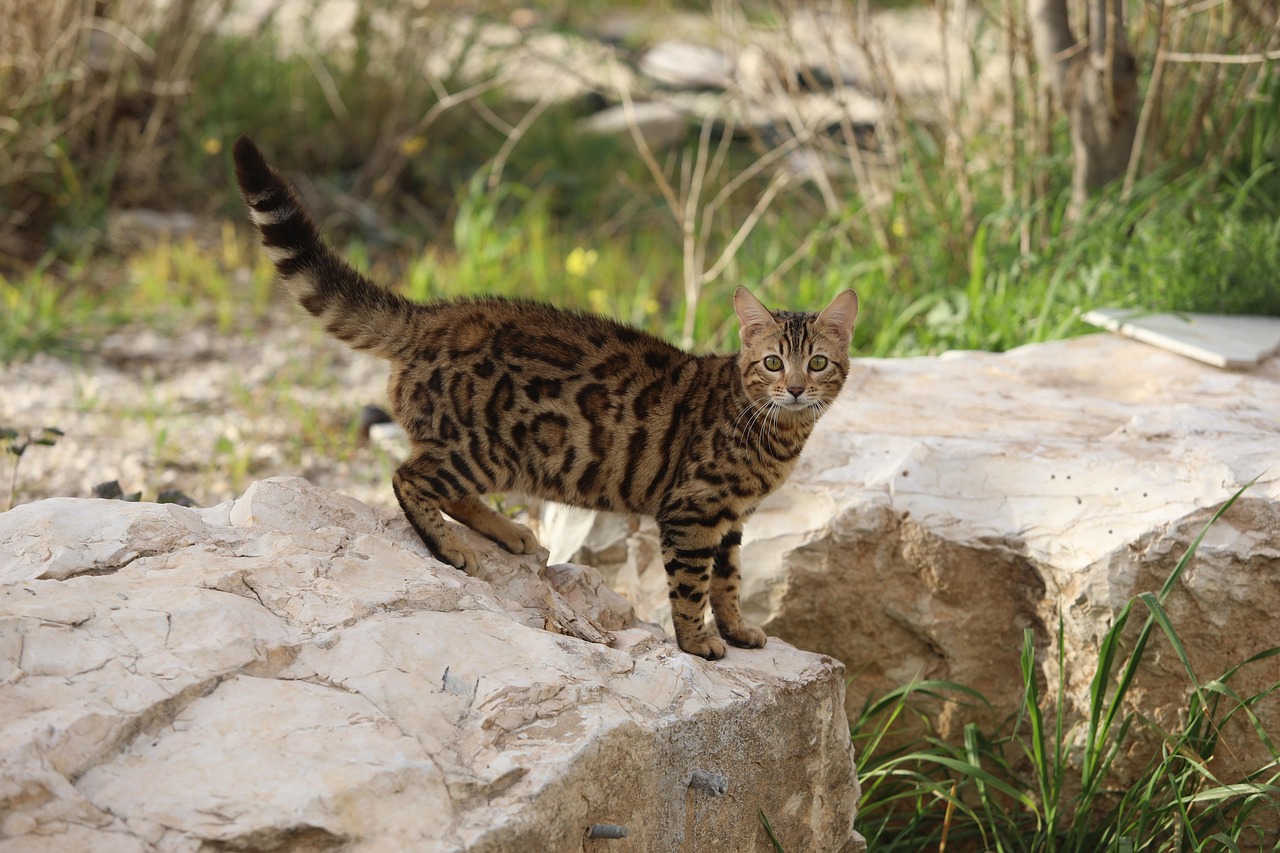 口臭ケアで失敗しないためのポイントは？