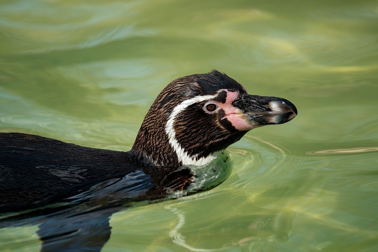 口臭ケアにおける効果的な方法は何ですか？