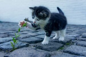 口臭が気になるときのメンタルケアにはどんな方法がある？