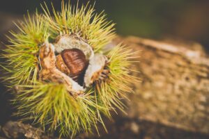 口臭が気になる時の相談先はどこが良い？