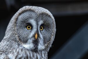 口臭の原因を探る方法とはどのようなものですか？