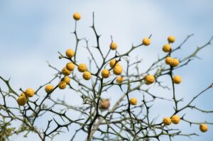 口臭の改善に役立つアイテムはどれが効果的？