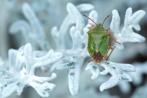 口臭対策の効果と口コミについて知っておくべきことは？