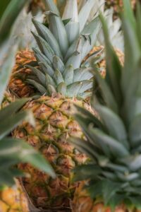 口臭を改善するために注意すべき食べ物は？