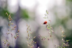 口臭対策における口腔ケアの注意点は？